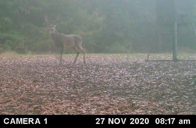 10.34 acres in Limestone County - photo 25