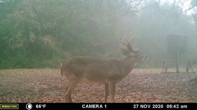 10.34 acres in Limestone County - photo 24