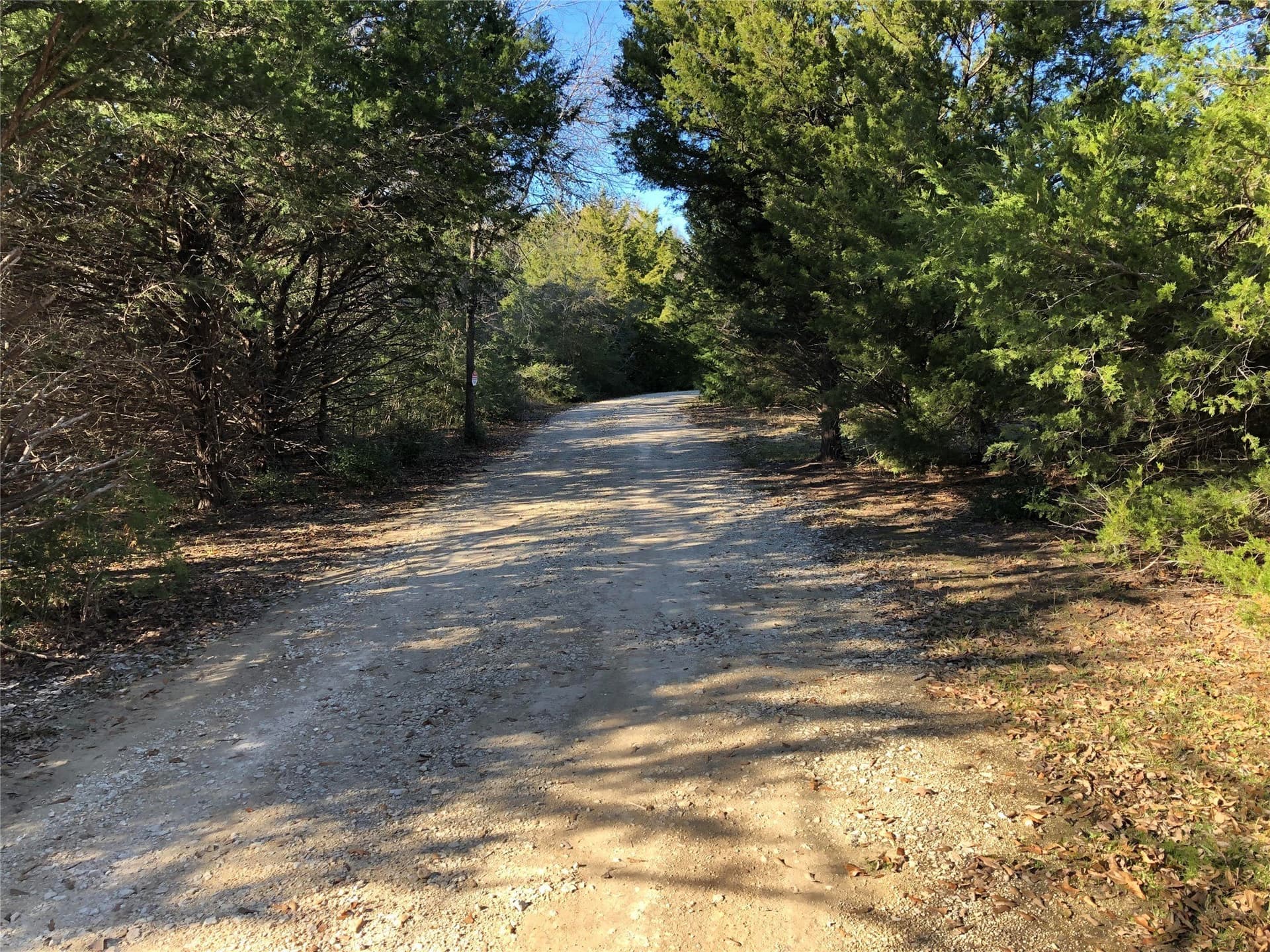 10.34 acres in Limestone County - photo 7