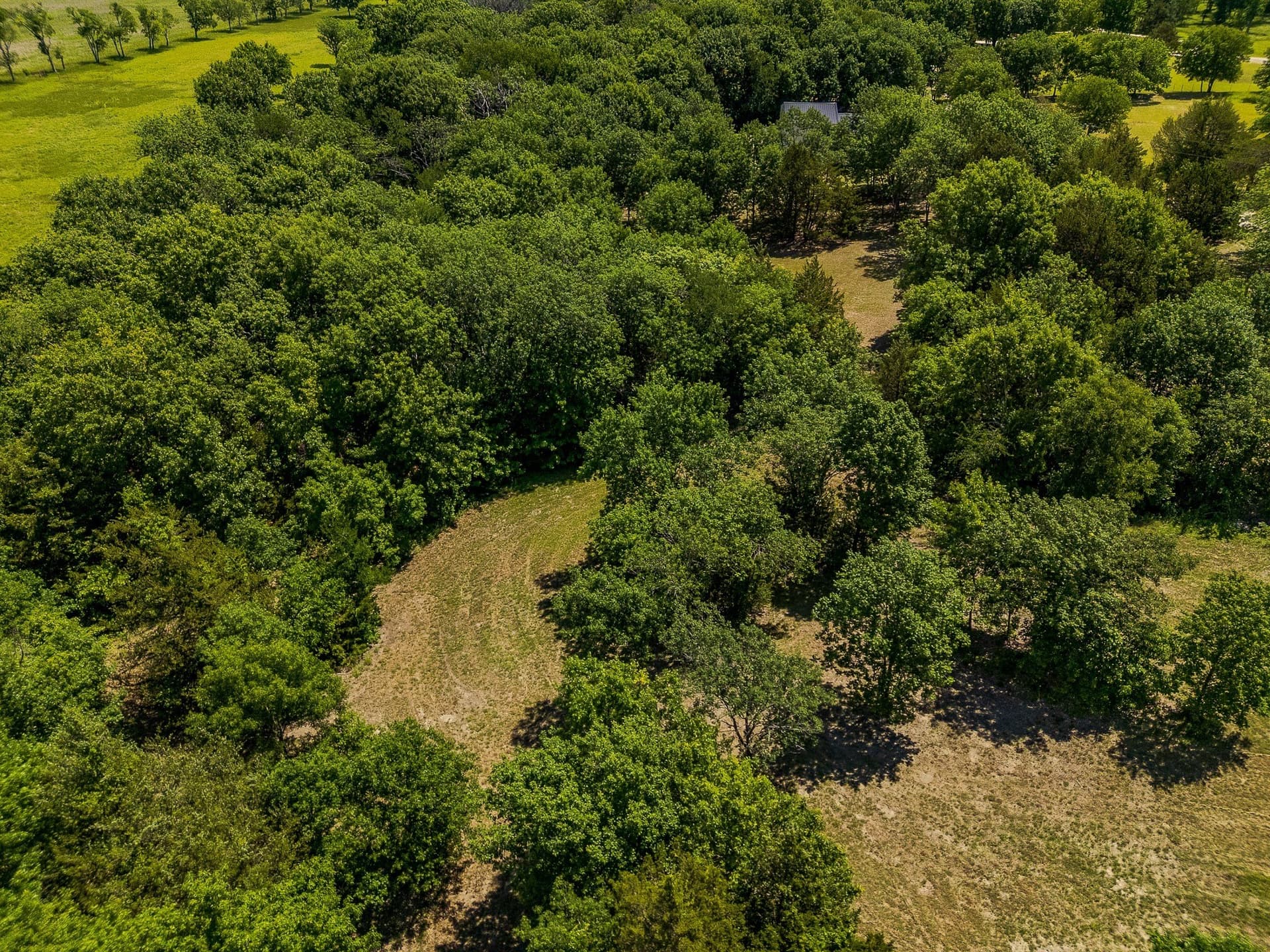 17.95 acres in Grayson County - photo 38
