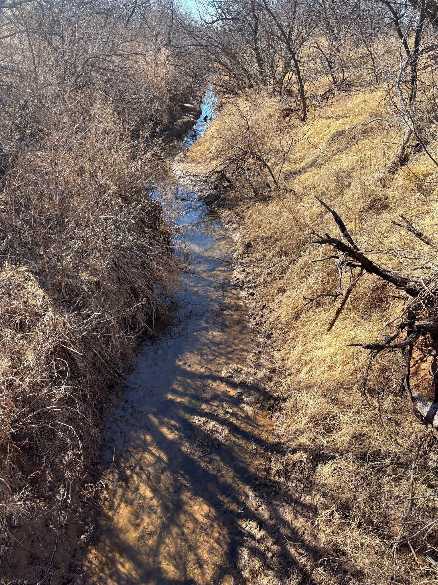 32.61 acres in Wichita County featured view