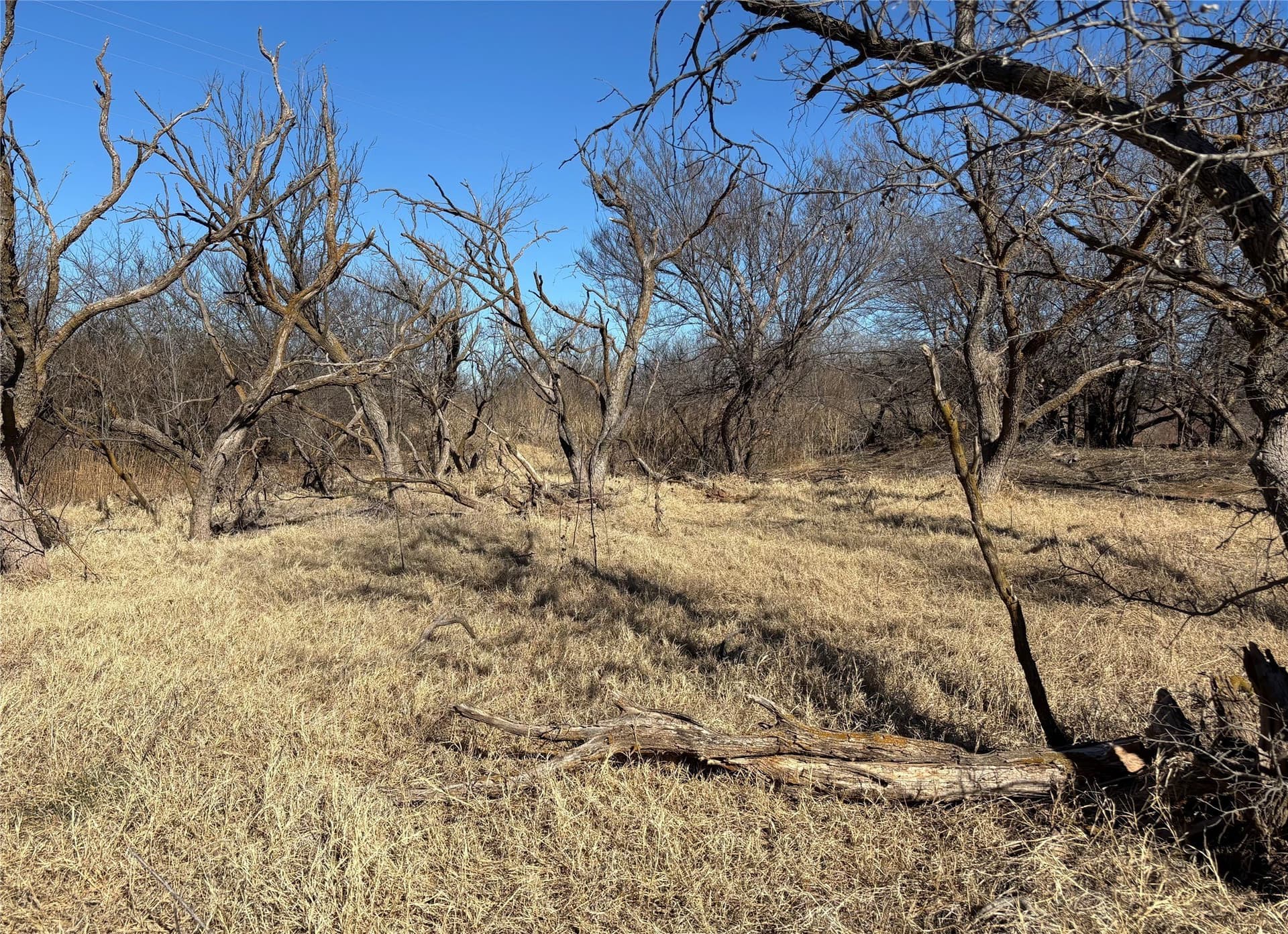 32.61 acres in Wichita County - photo 6