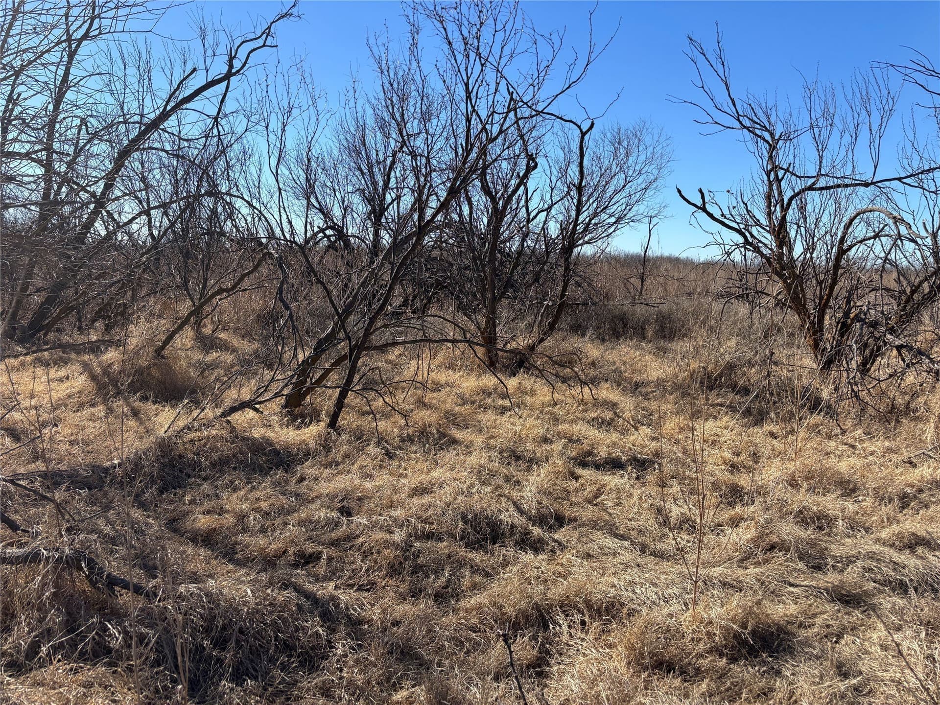 32.61 acres in Wichita County - photo 7