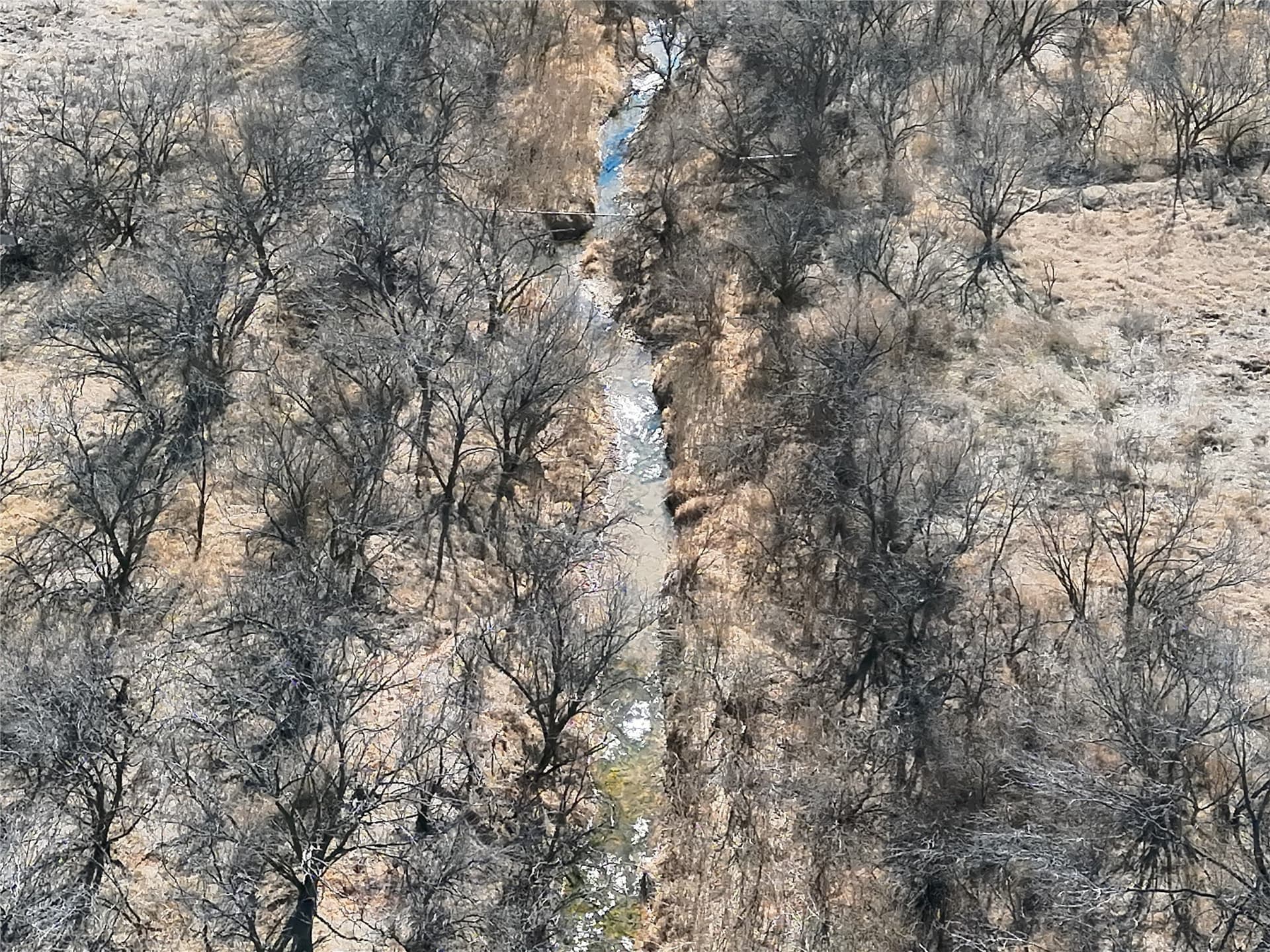 32.61 acres in Wichita County - photo 11