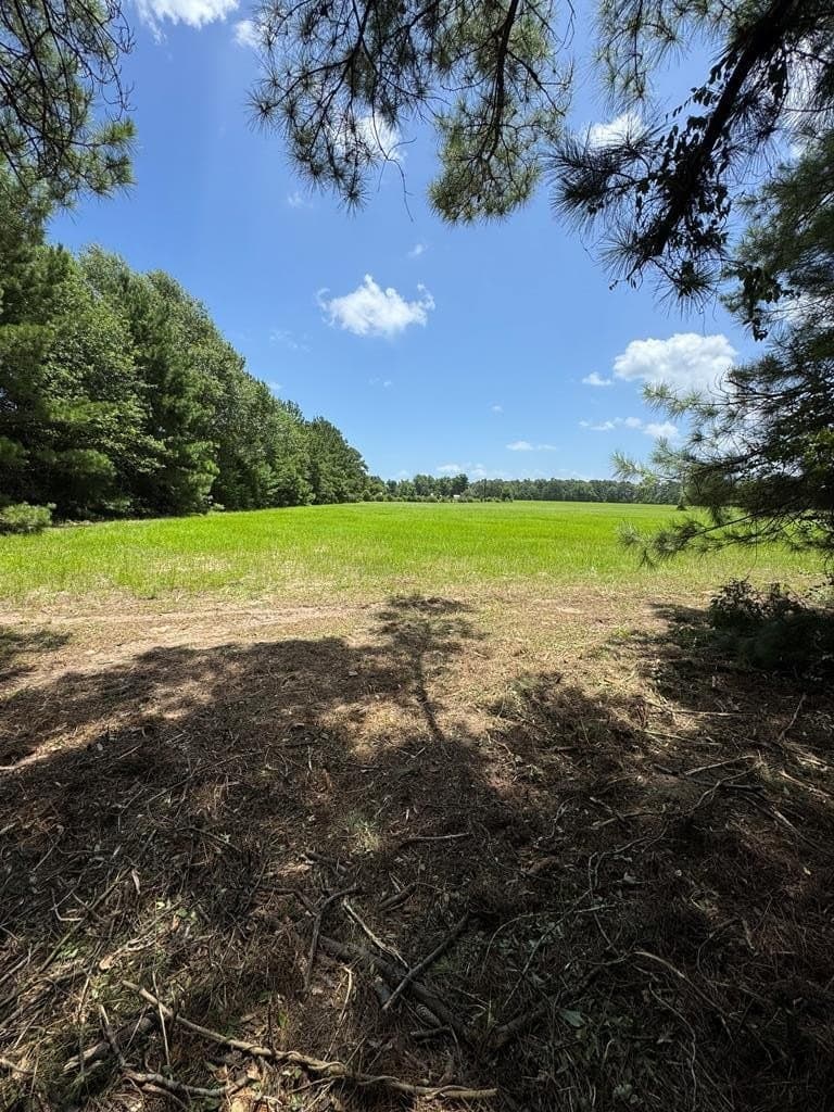 8.64 acres in Texas County gallery image 3