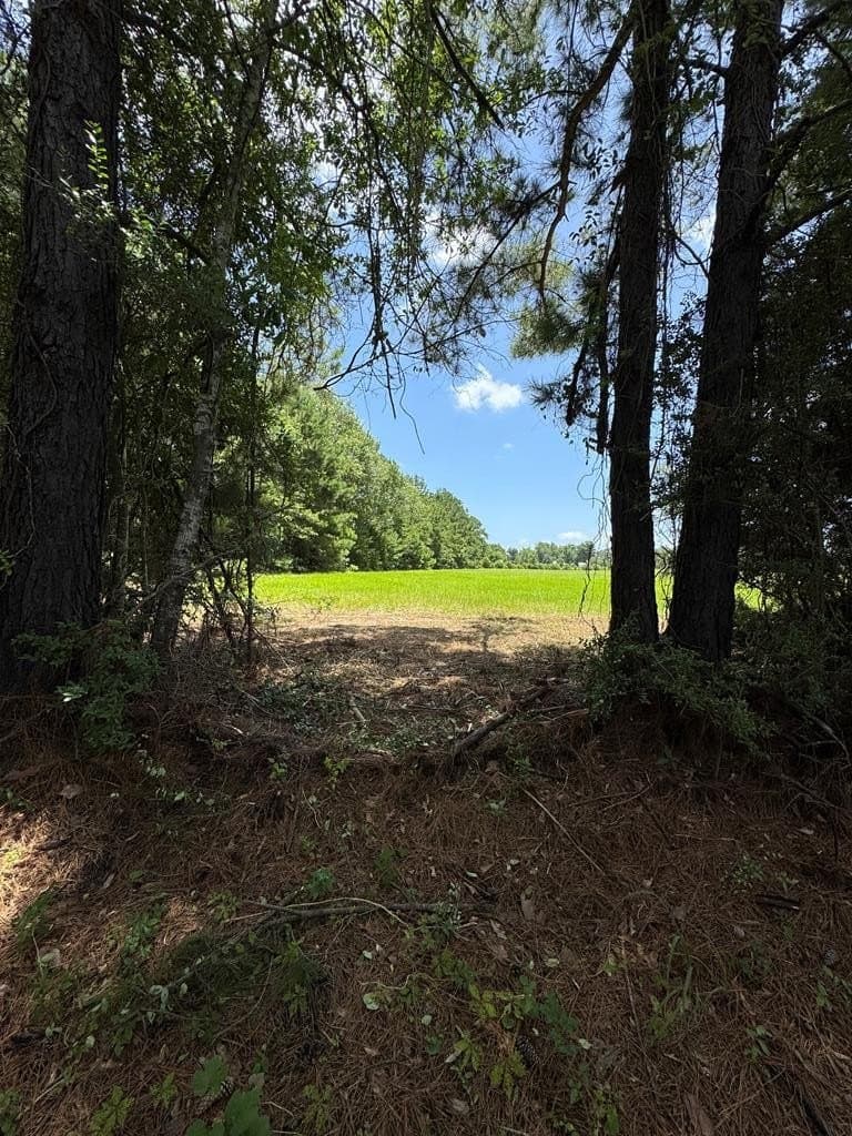 8.64 acres in Texas County gallery image 2