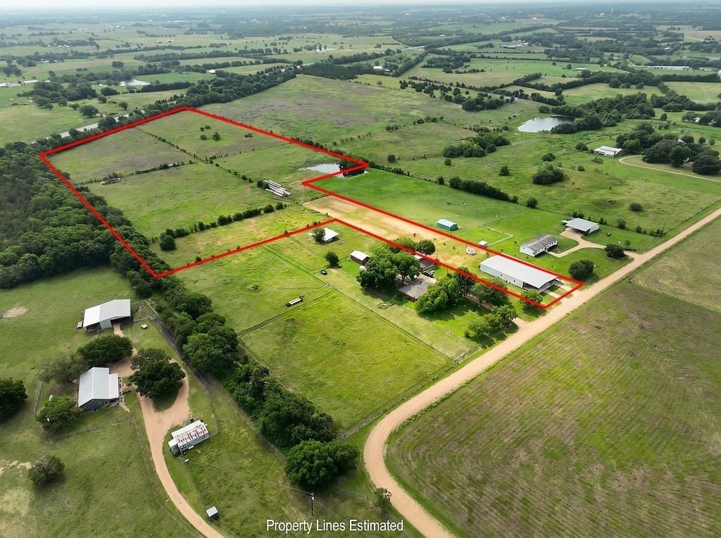 20 acres in Austin County gallery image 3