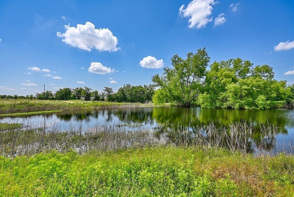 20 acres in Austin County featured view