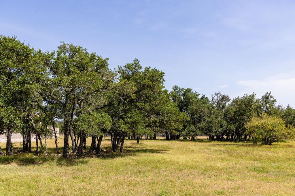 20.01 acres in Gillespie County - photo 37