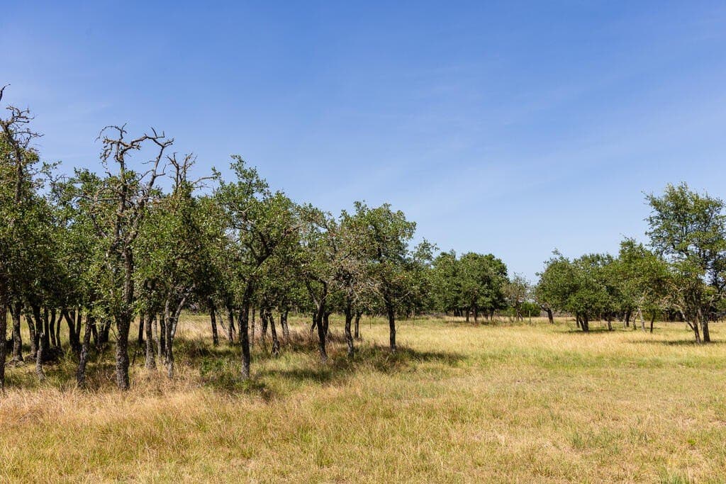 20.01 acres in Gillespie County - photo 38