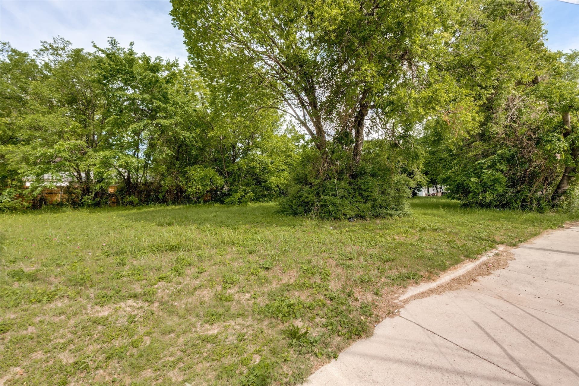 0.27 acres in Dallas County - photo 7