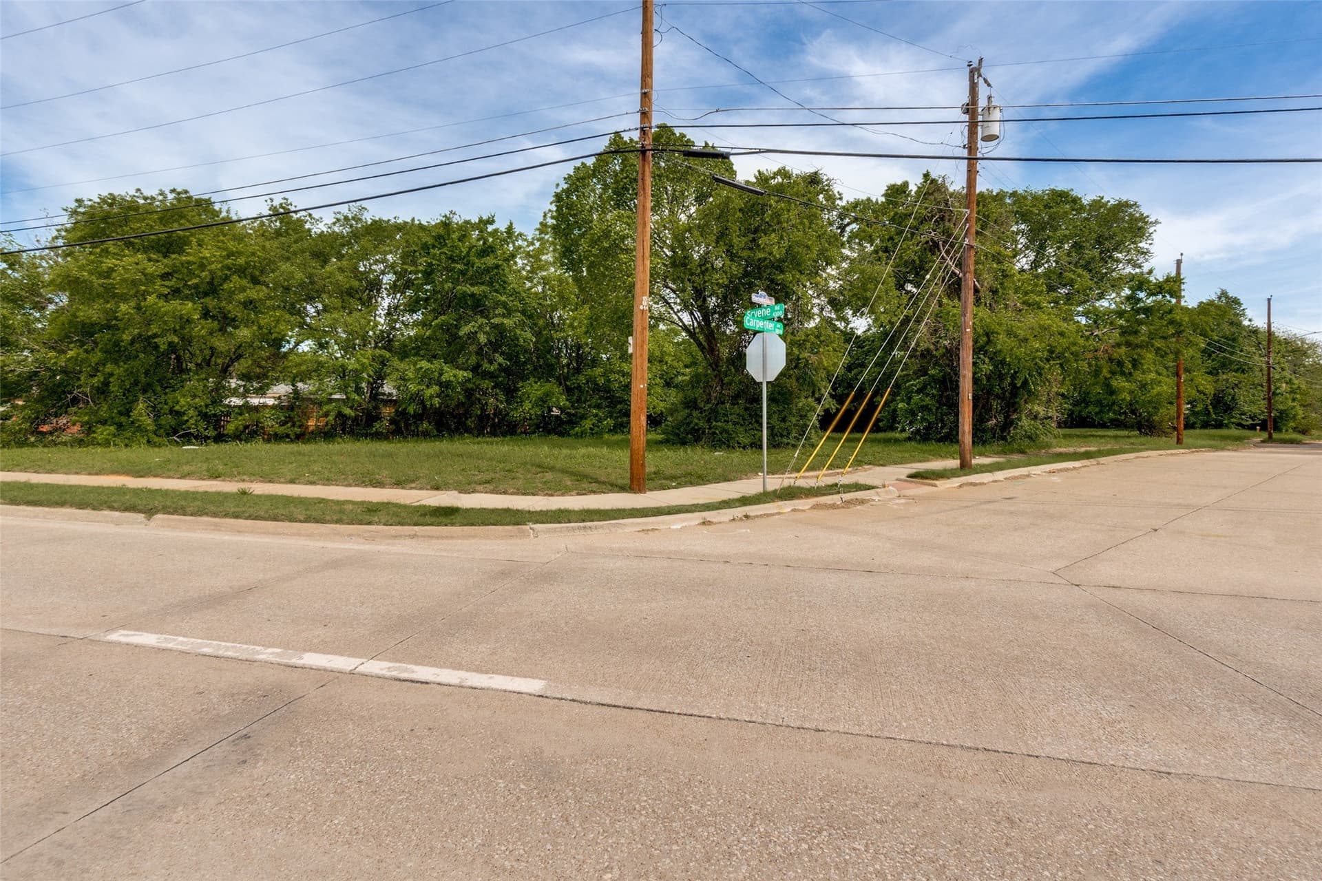 0.27 acres in Dallas County - photo 8