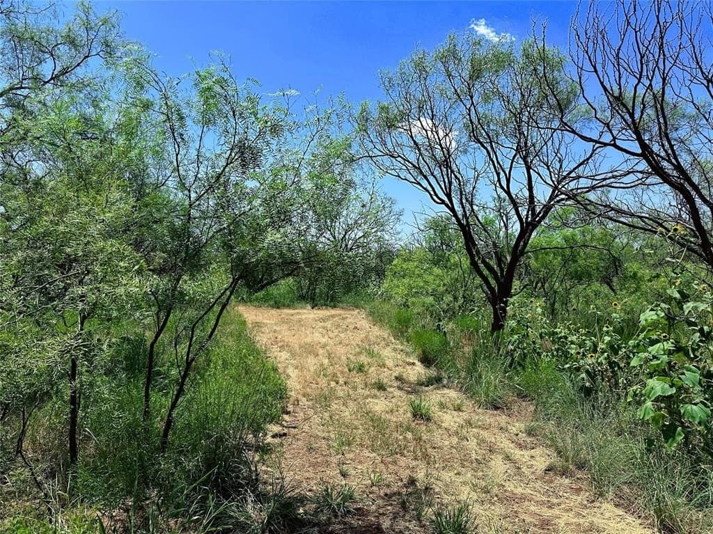 19.45 acres in Jones County gallery image 2