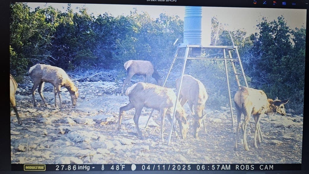 153.74 acres in Edwards County - photo 15