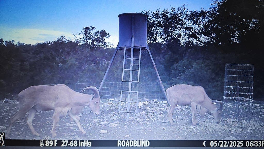 153.74 acres in Edwards County - photo 14