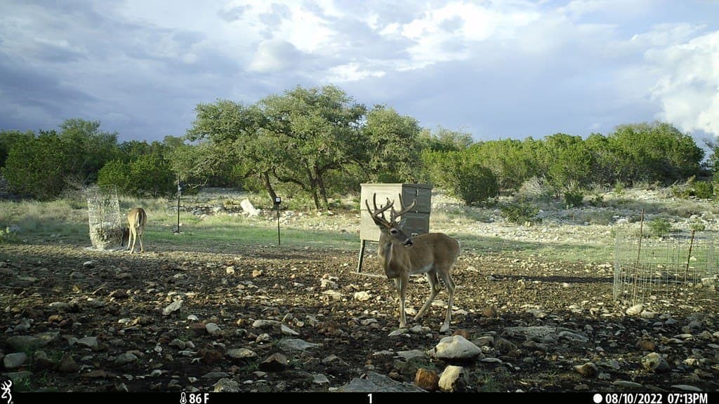 153.74 acres in Edwards County - photo 22