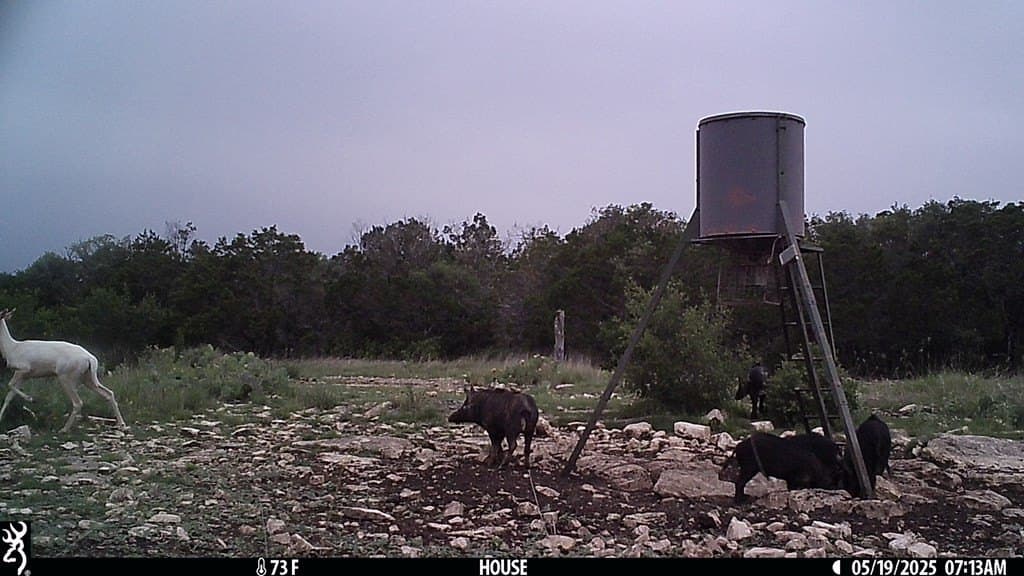 153.74 acres in Edwards County - photo 20
