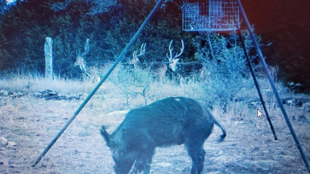 153.74 acres in Edwards County - photo 17