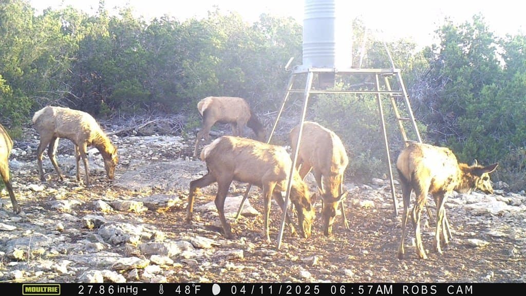 153.74 acres in Edwards County - photo 19