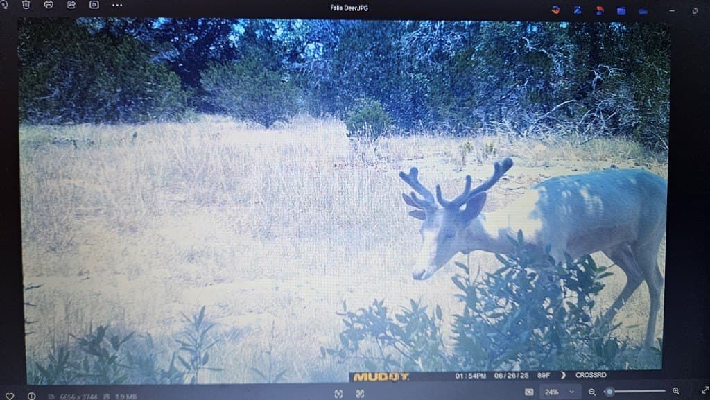 153.74 acres in Edwards County - photo 16