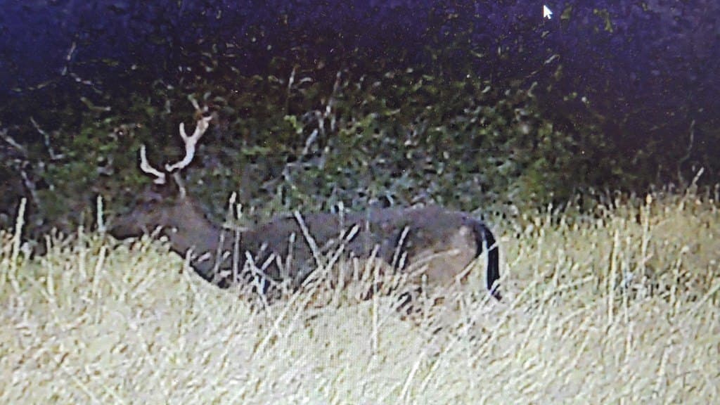 153.74 acres in Edwards County - photo 9