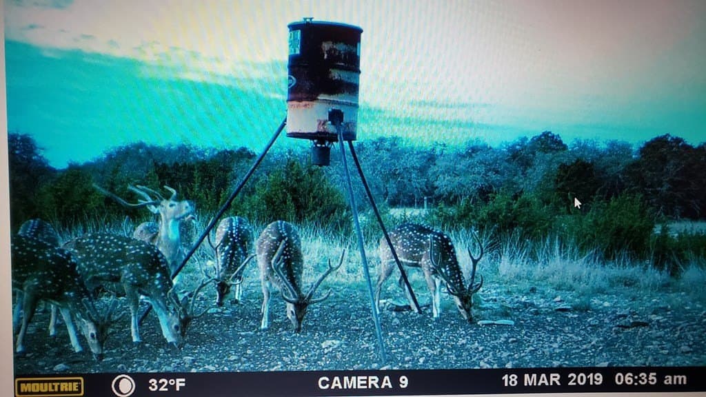 153.74 acres in Edwards County - photo 18