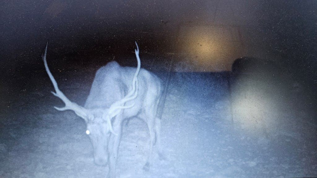 153.74 acres in Edwards County - photo 13