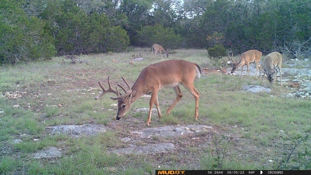 153.74 acres in Edwards County - photo 10
