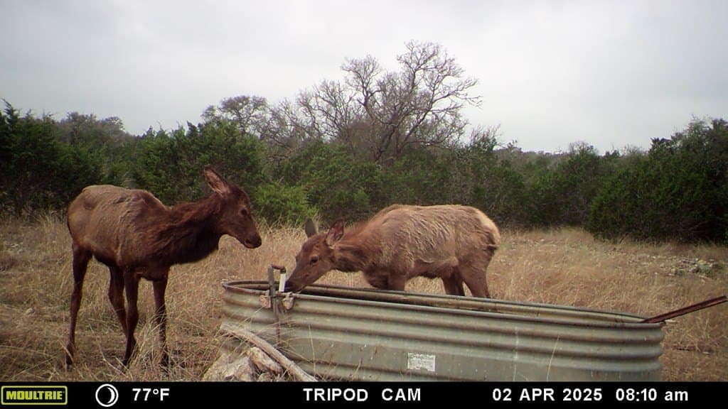 153.74 acres in Edwards County - photo 11