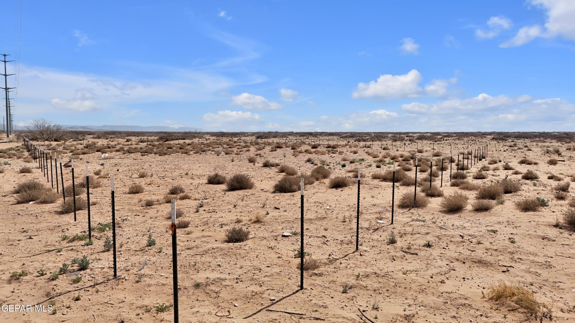 0.54 acres in El Paso County gallery image 4