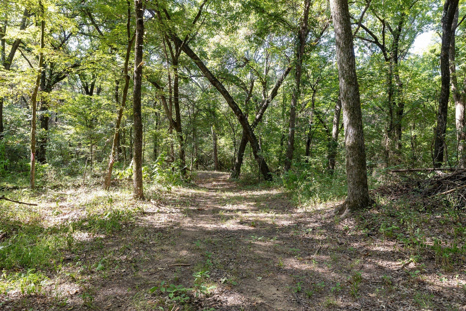 11.46 acres in Grayson County - photo 9