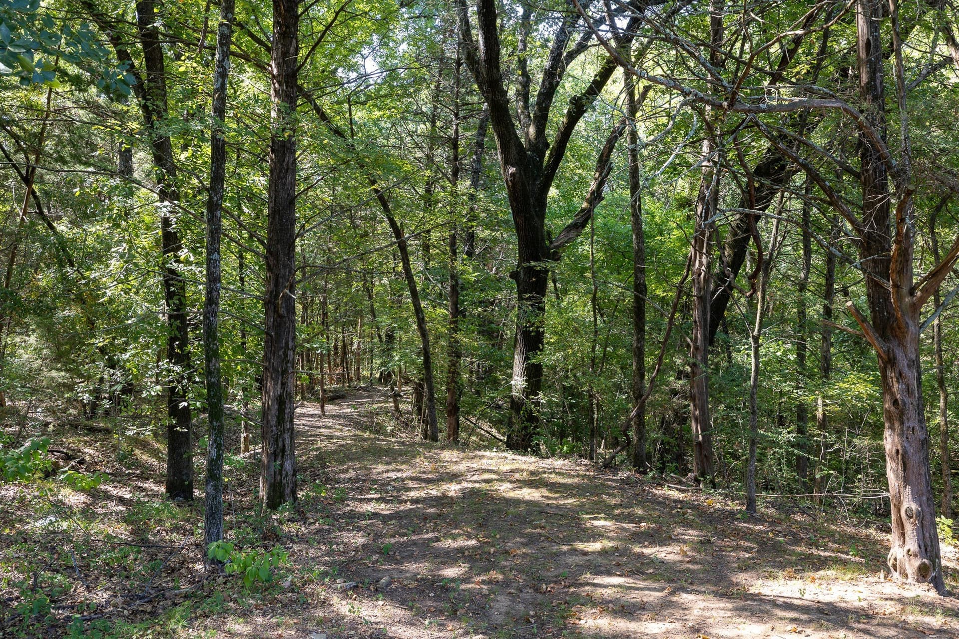 11.46 acres in Grayson County - photo 11