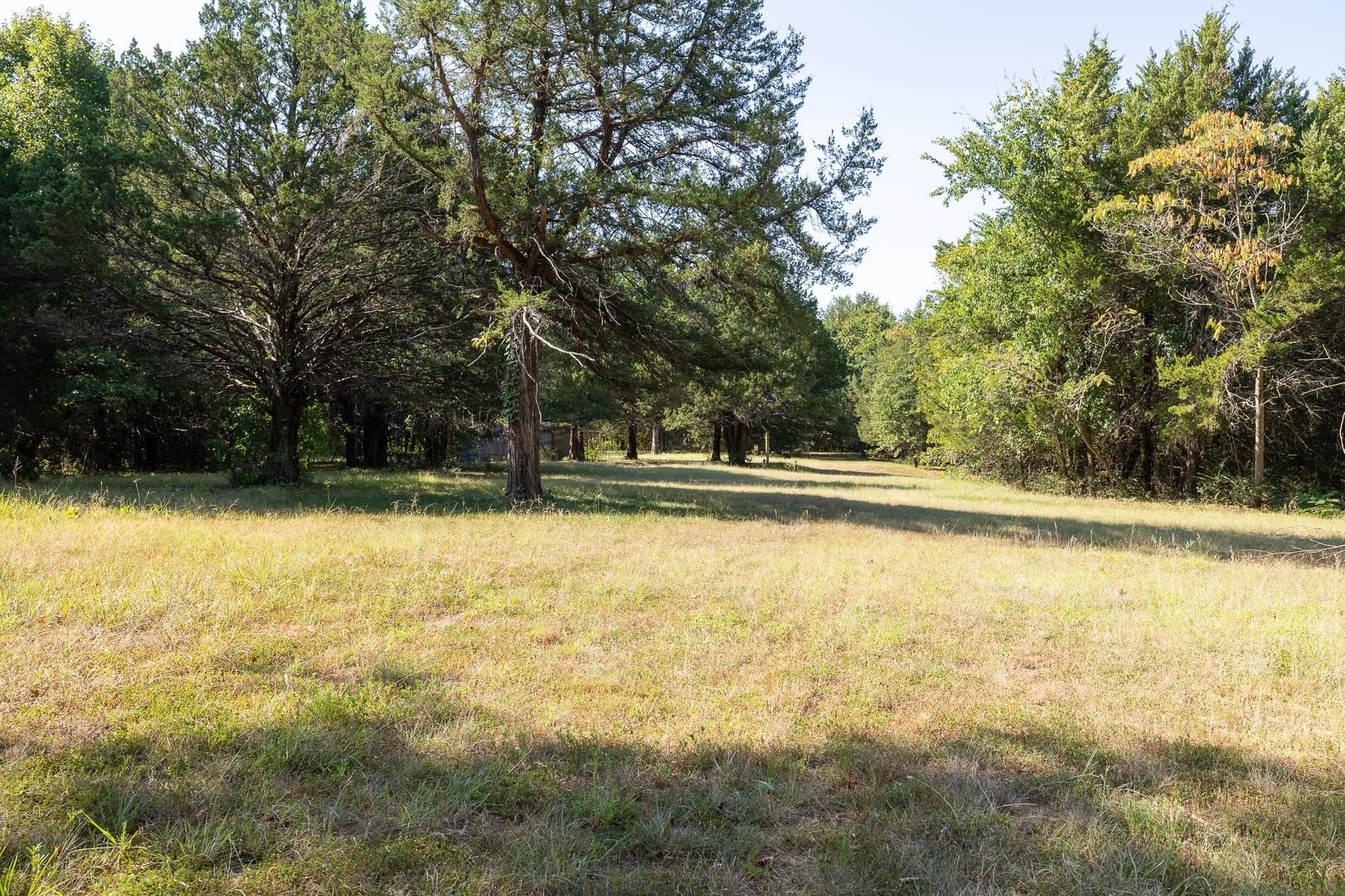 11.46 acres in Grayson County - photo 5