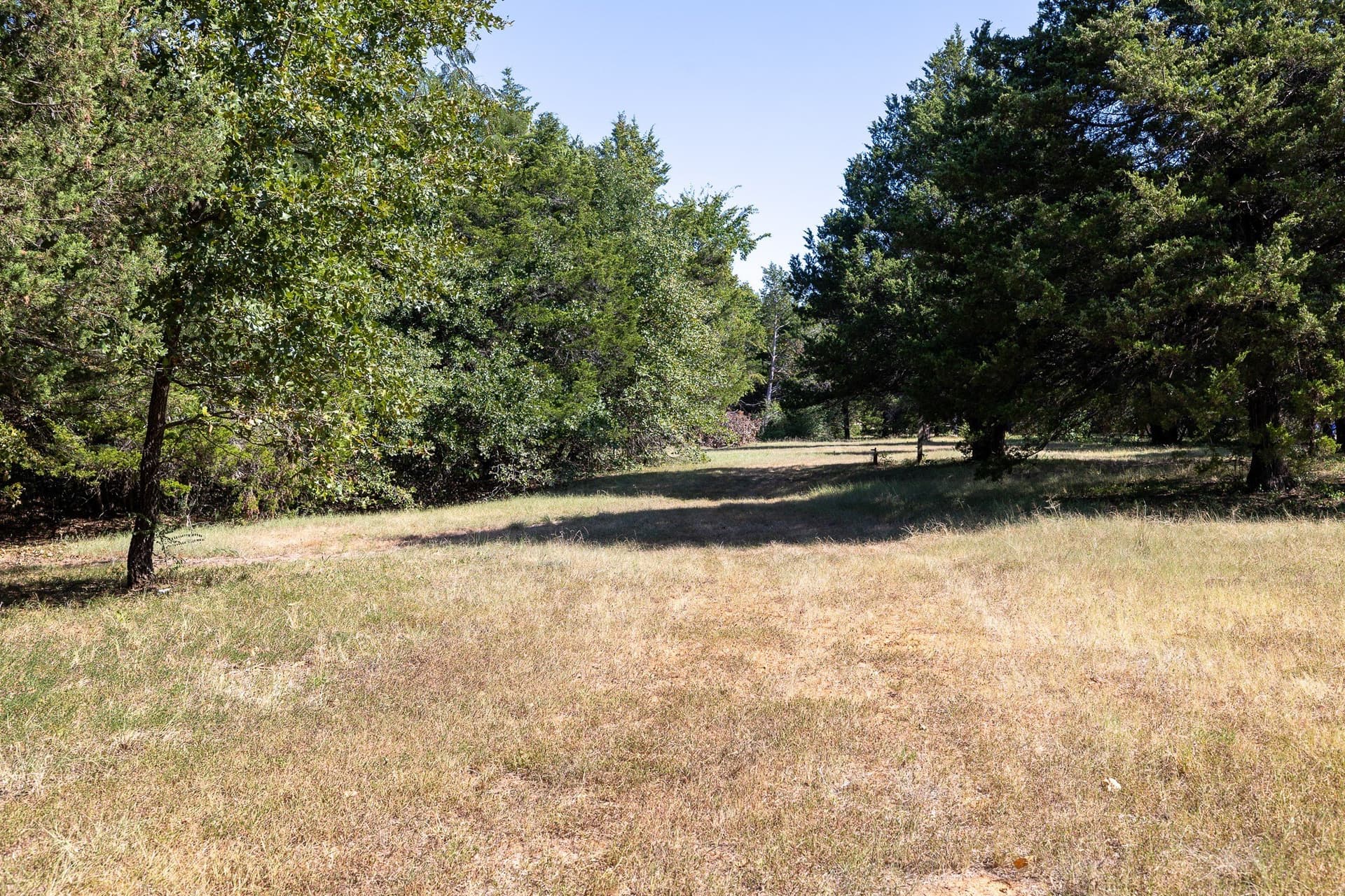11.46 acres in Grayson County - photo 7