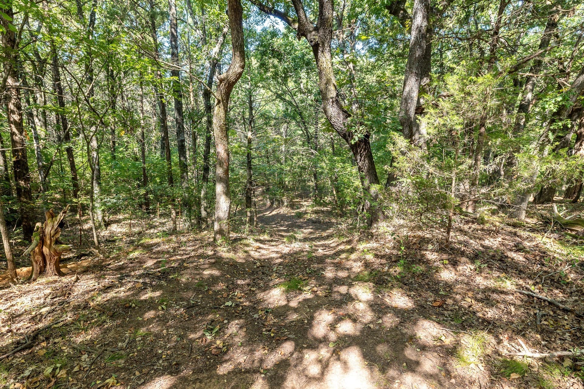 11.46 acres in Grayson County - photo 8