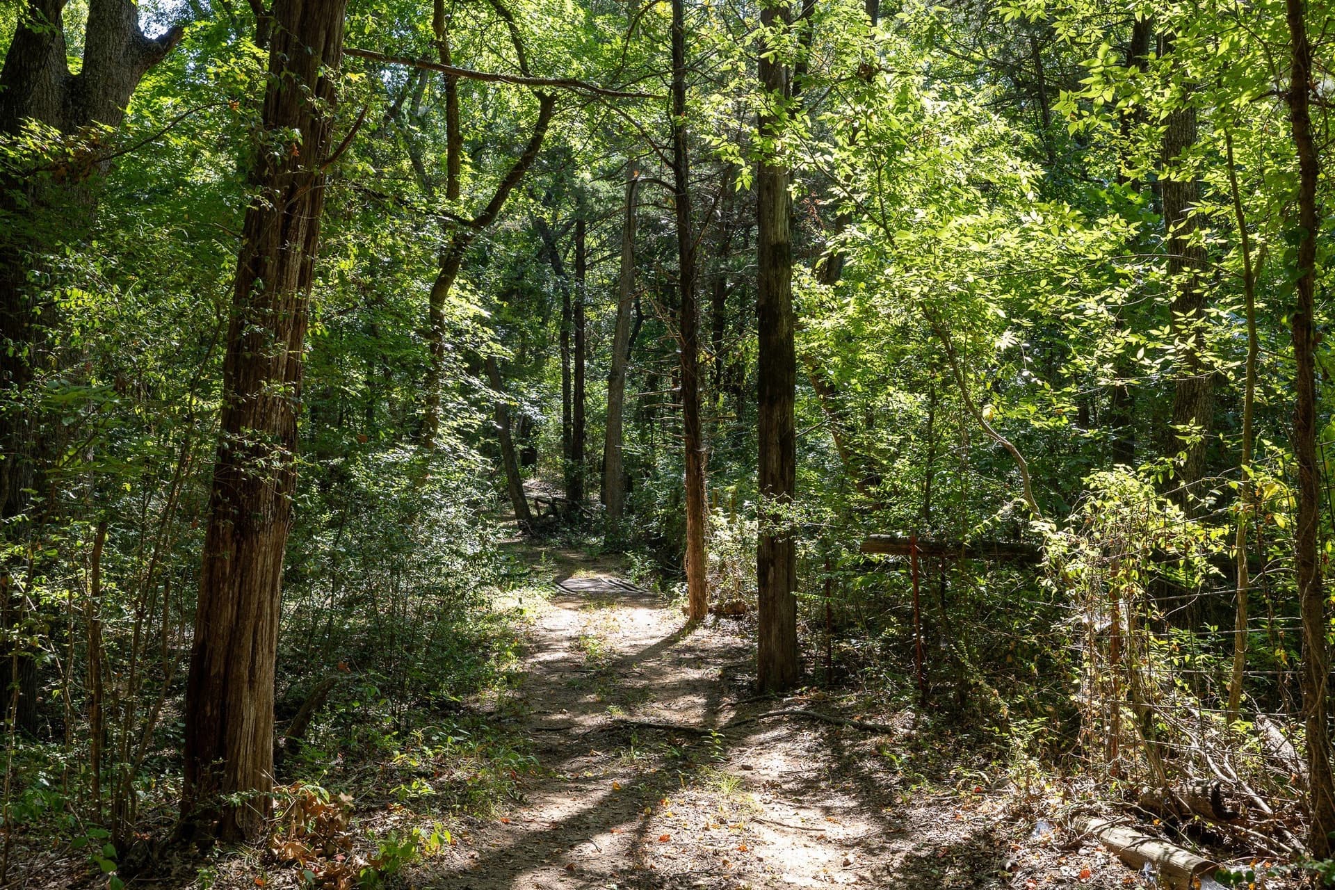 11.46 acres in Grayson County - photo 10