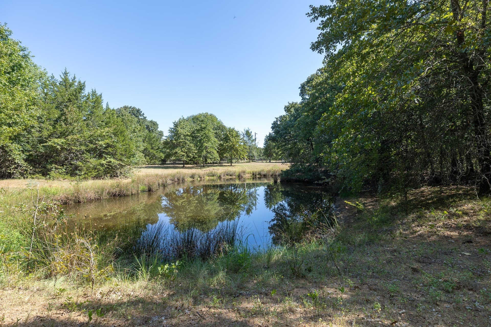 11.46 acres in Grayson County - photo 3