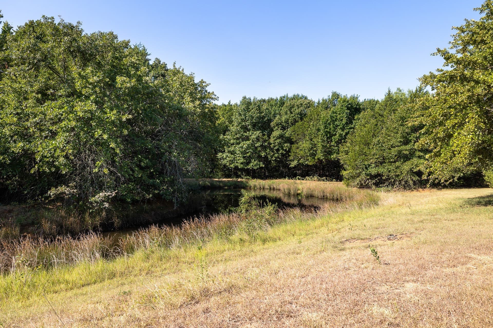 11.46 acres in Grayson County - photo 4