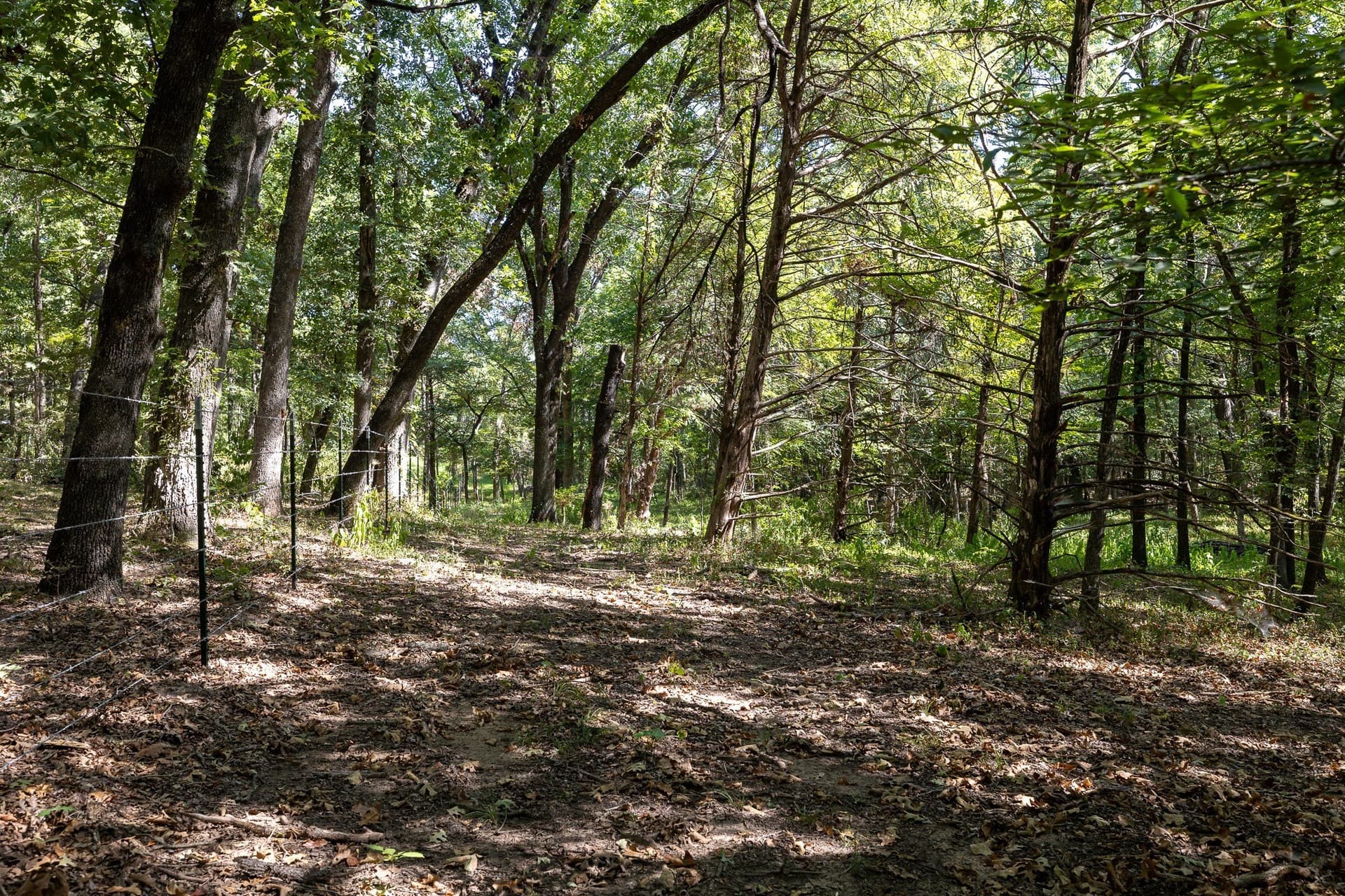 11.46 acres in Grayson County - photo 12