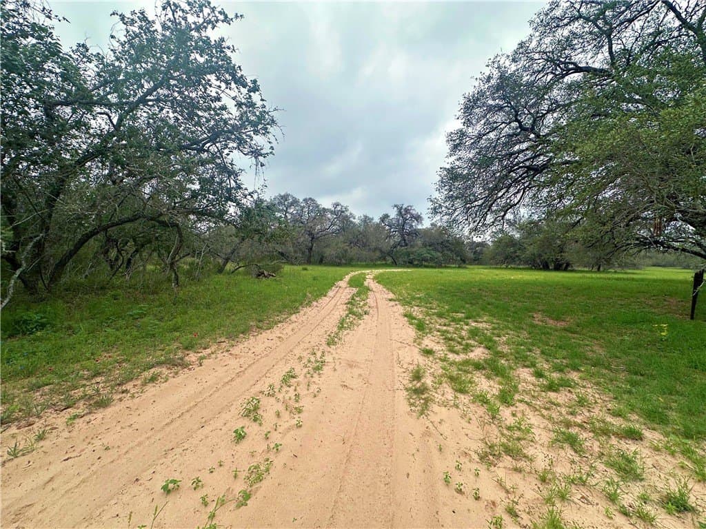 124.96 acres in Atascosa County - photo 21