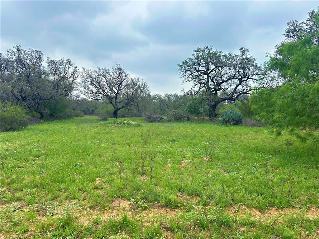 124.96 acres in Atascosa County - photo 20