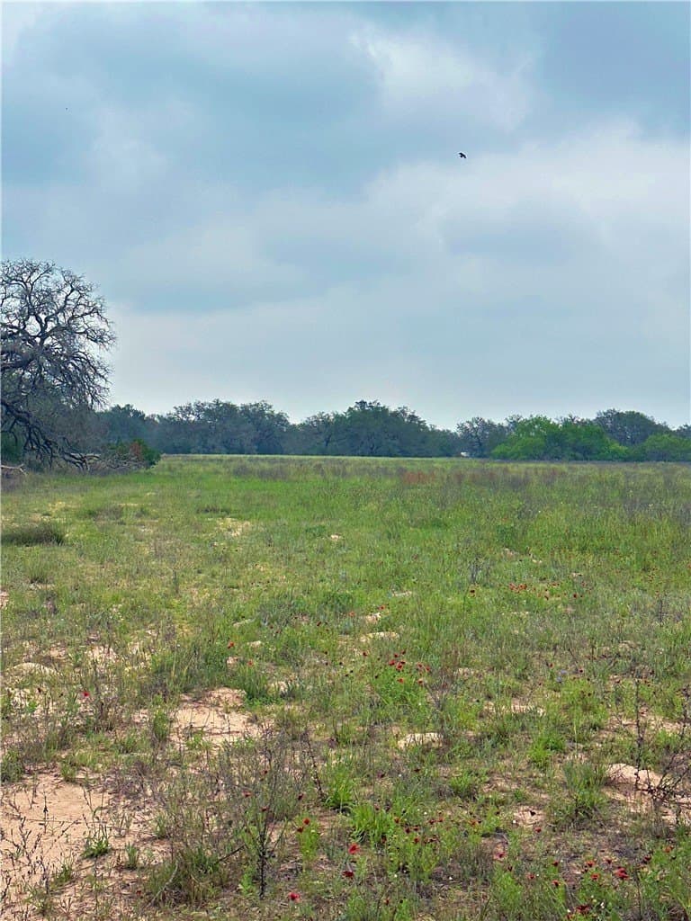 124.96 acres in Atascosa County - photo 17