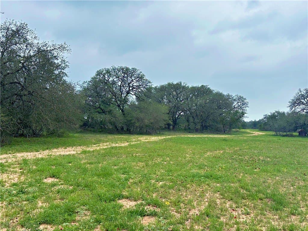124.96 acres in Atascosa County