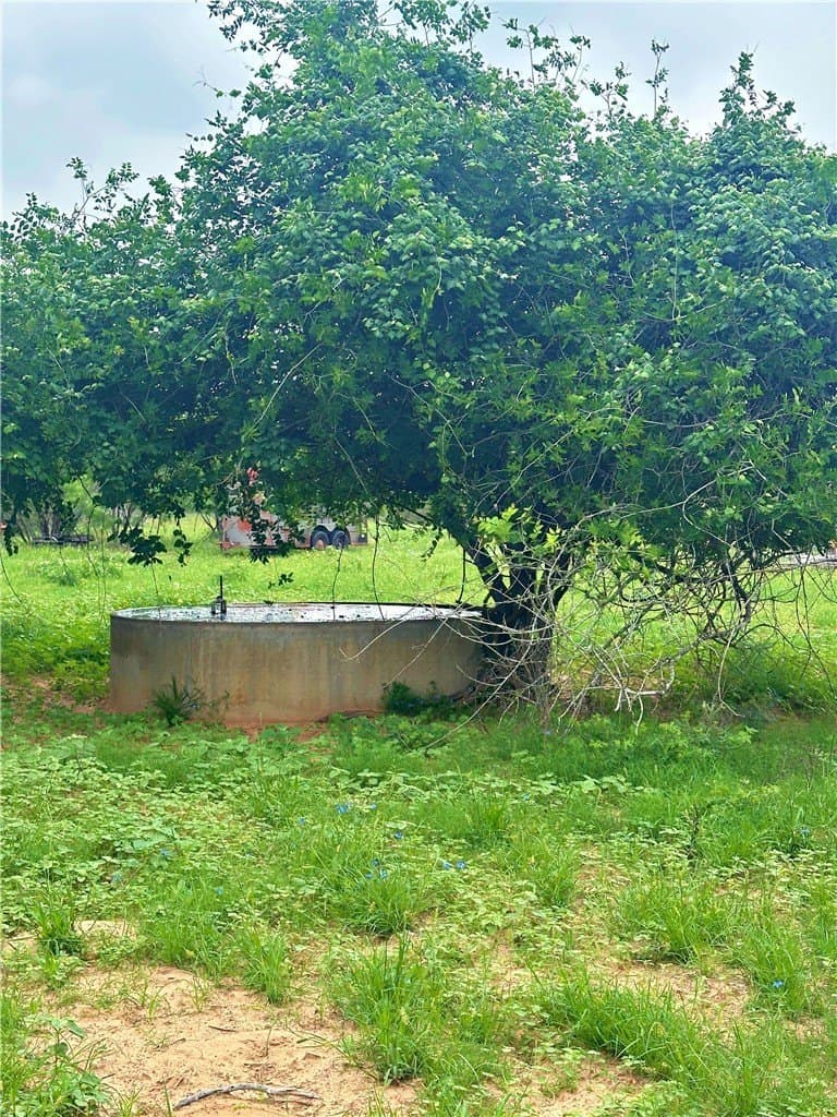 124.96 acres in Atascosa County - photo 13