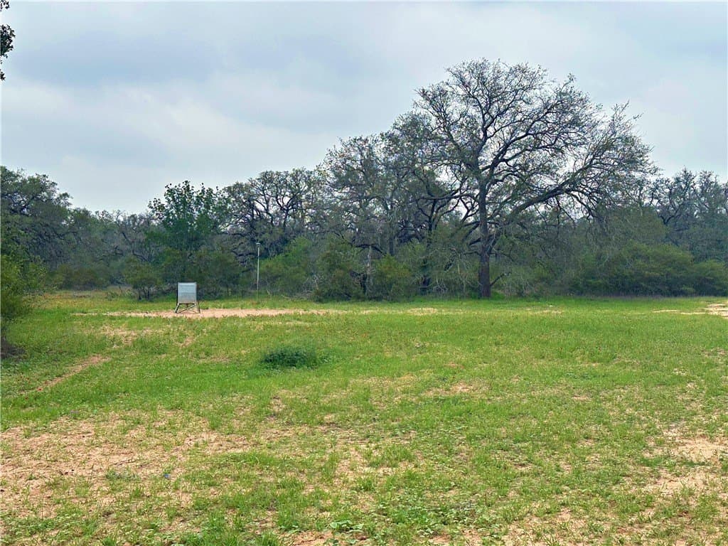 124.96 acres in Atascosa County - photo 19