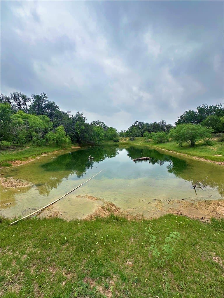 124.96 acres in Atascosa County - photo 15
