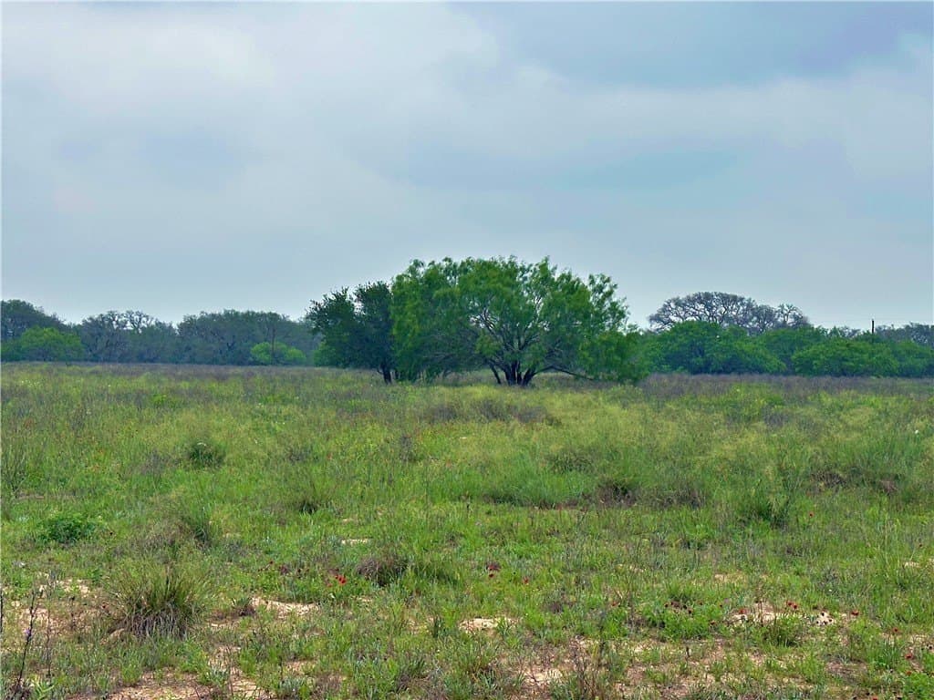 124.96 acres in Atascosa County - photo 18
