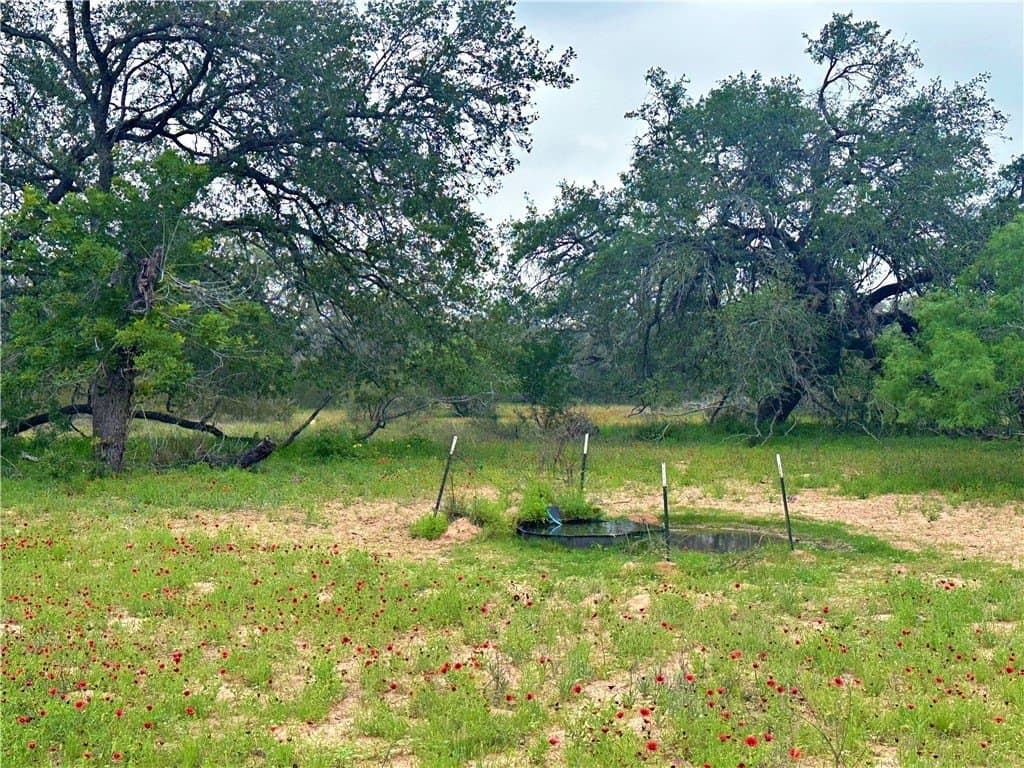 124.96 acres in Atascosa County - photo 14