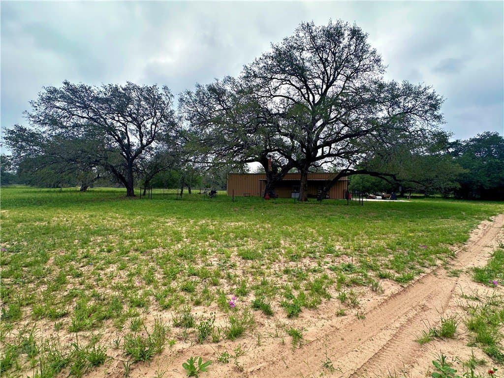 124.96 acres in Atascosa County gallery image 3