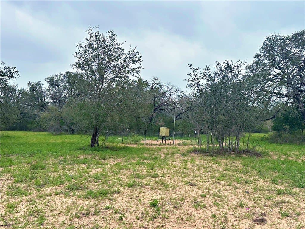 124.96 acres in Atascosa County - photo 16